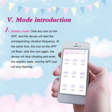NEZEND Wireless Vibrator Sale for Women Love Eggs with Remote Control from Phone by Bluetooth App Vibrator 9 Modes USB Rechargeable for Couple Fun